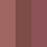 Coffret de mini rouges à lèvres liquides mats Must Have It de Beaulis 242 Particular – Image 2